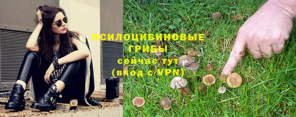 тгк Алексин