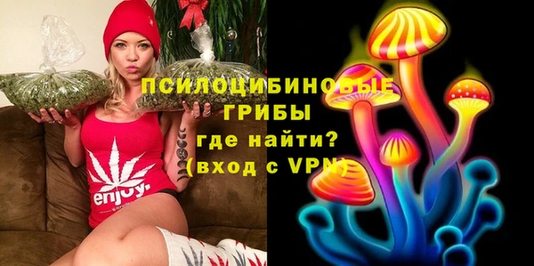 стафф Алексеевка