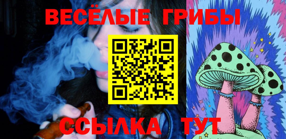 Галлюциногенные грибы прущие грибы Крымск