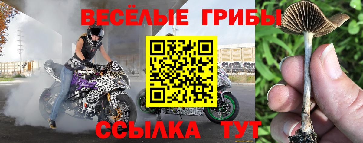 Галлюциногенные грибы Psilocybine cubensis  Галлюциногенные грибы ЛСД  Вход с VPN  Крымск 